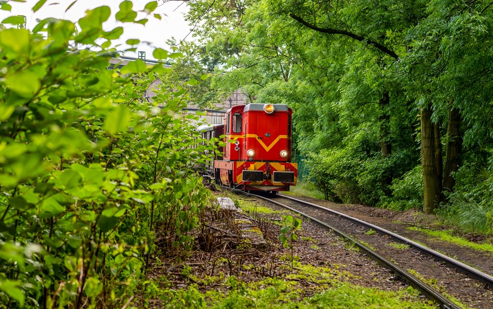 Wąskotorówka kursuje już systematycznie