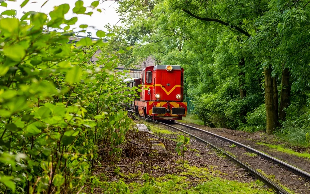 Wąskotorówka kursuje już systematycznie