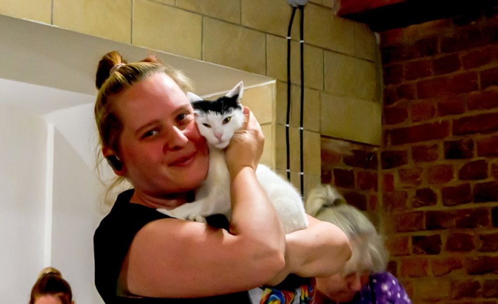 Przytul się do kota w Kocim Gościńcu