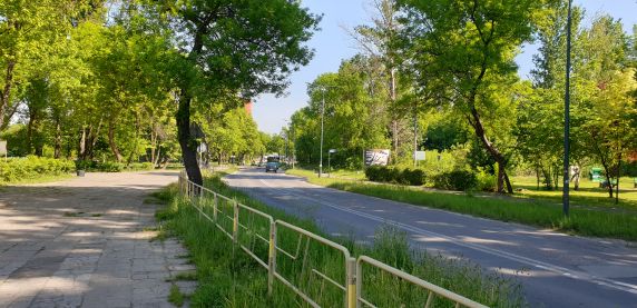 Od 14 czerwca wahadło na Ostrogórskiej