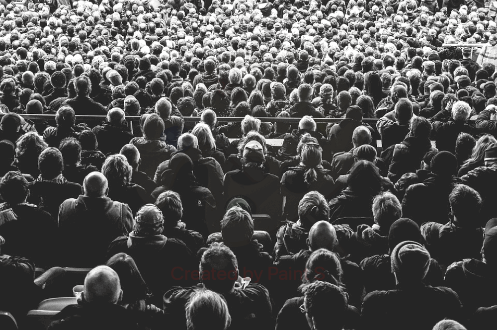 Seanse w Ogrodzie 2021