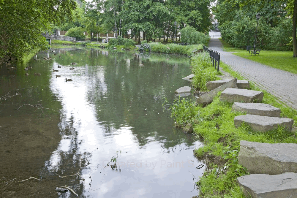 Mikołów bliżej natury - co warto zobaczyć?