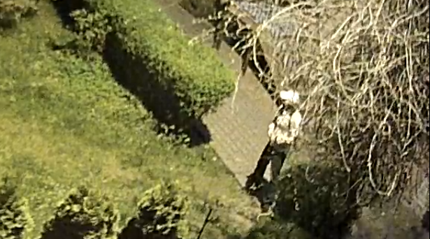 Ukradł rower. Rozpoznajesz go?