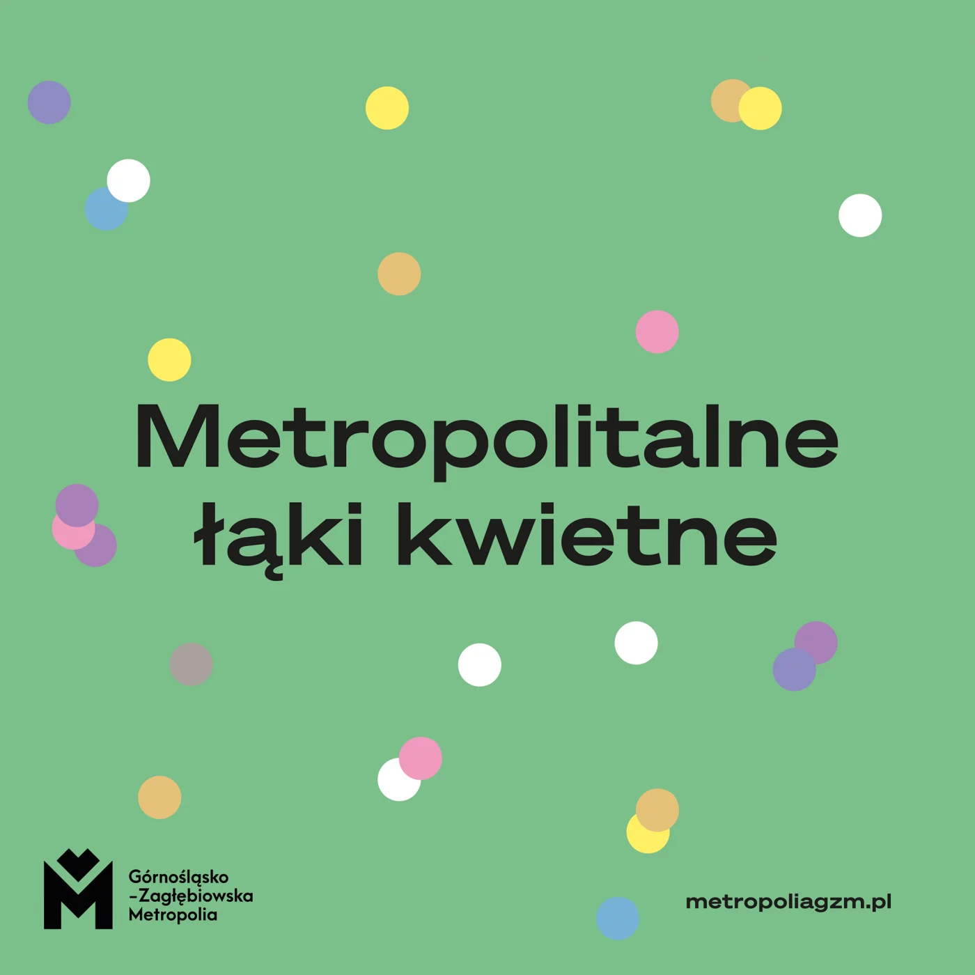 Zgłoś się do programu "Metropolitalne Łąki Kwietne"