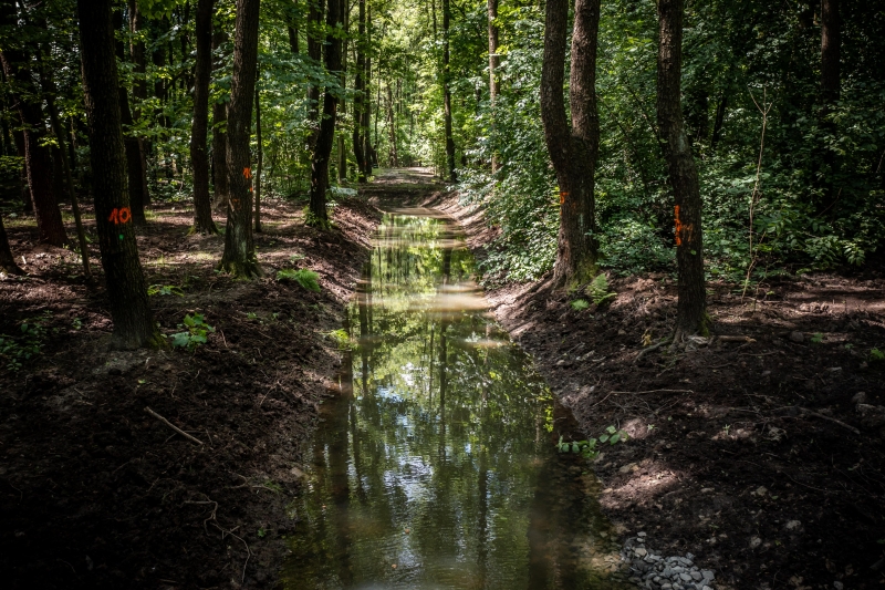 Zakończono budowę polderu przeciwpowodziowego w Parku Śląskim