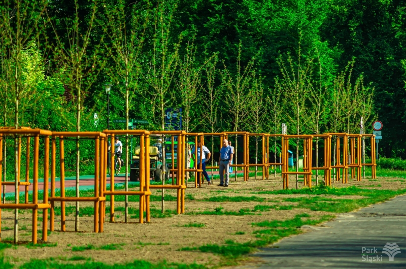 Nowe nasadzenia w Parku Śląskim