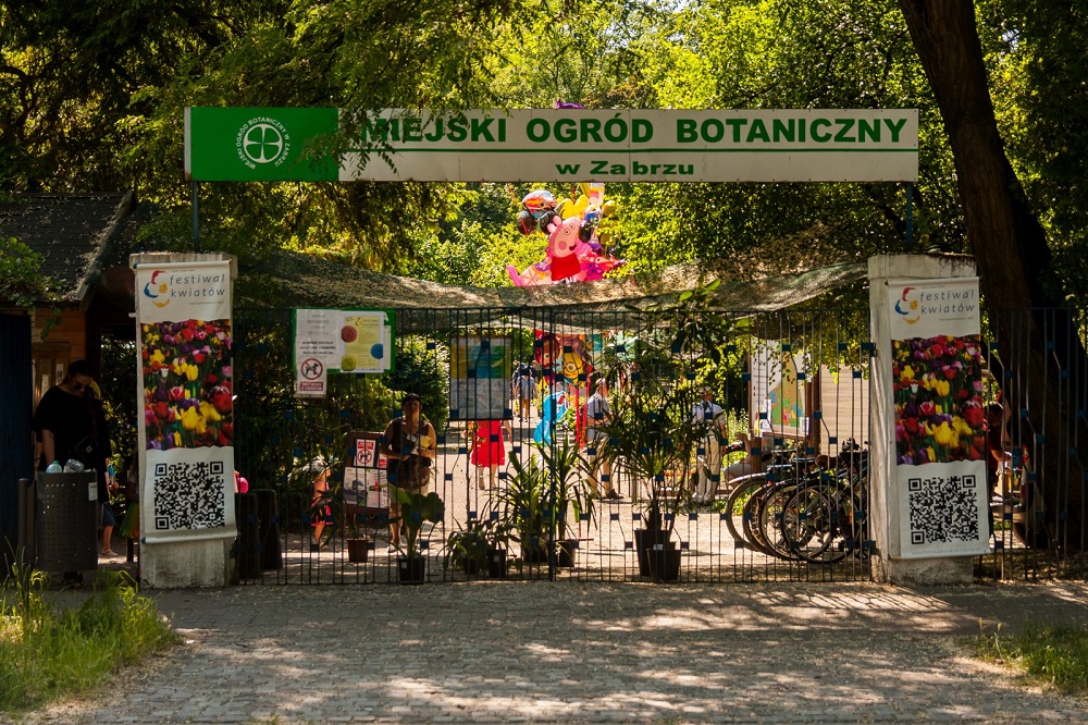 Podsumowanie Festiwalu Kwiatów w Miejskim Ogrodzie Botanicznym