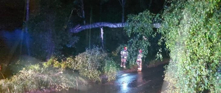 70 interwencji, zalane piwnice, posesje i połamane drzewa – to skutki nawałnicy w Zabrzu