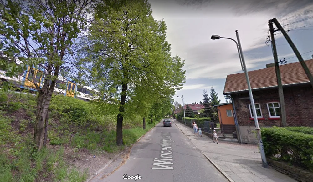 Wycinka drzew wzdłuż ulicy Janasa częścią przebudowy. Mieszkańcy podnoszą alarm