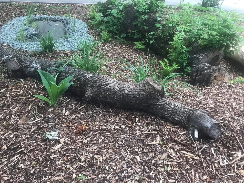 ZSP nr 2 laureatem XI edycji ogólnopolskiego konkursu Funduszu Energii Naturalnej