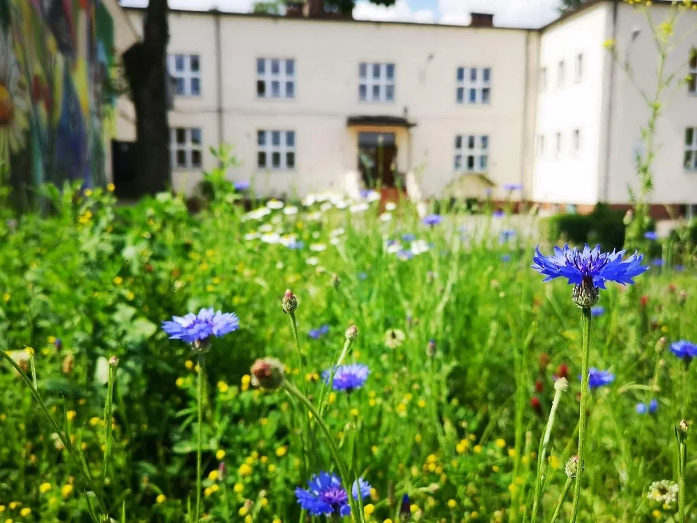 ZSP nr 2 laureatem XI edycji ogólnopolskiego konkursu Funduszu Energii Naturalnej