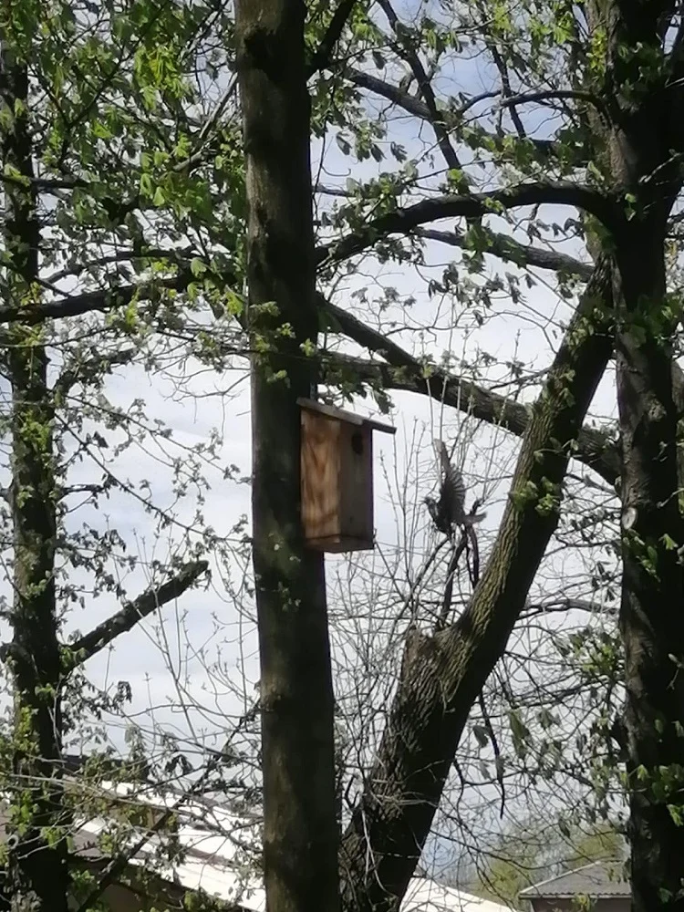 ZSP nr 2 laureatem XI edycji ogólnopolskiego konkursu Funduszu Energii Naturalnej