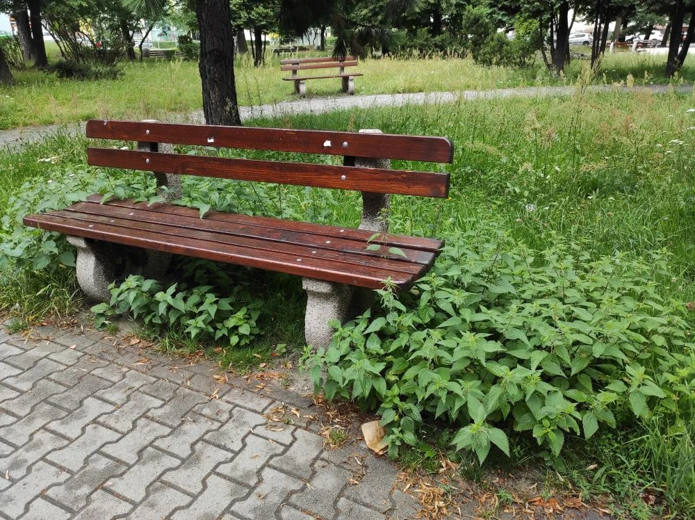 Zapuszczony plac Niepodległości na Goduli. Co z zapowiadaną modernizacją?