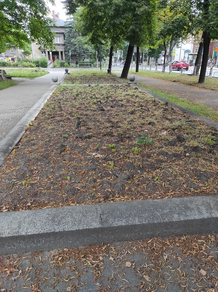 Zapuszczony plac Niepodległości na Goduli. Co z zapowiadaną modernizacją?