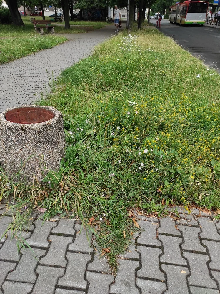 Zapuszczony plac Niepodległości na Goduli. Co z zapowiadaną modernizacją?