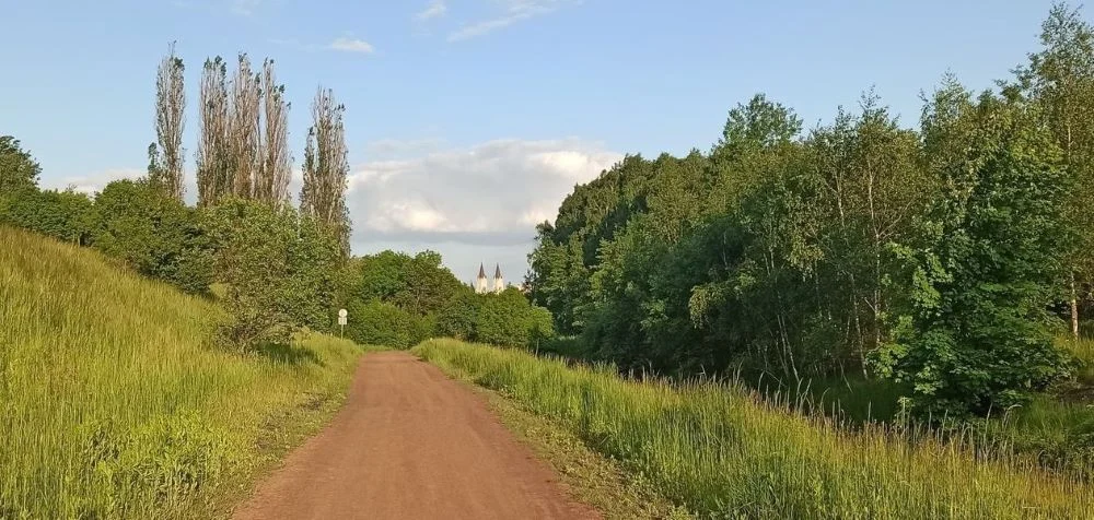 Radna Miasta zaprasza na wielkie sprzątanie Doliny Kochłówki