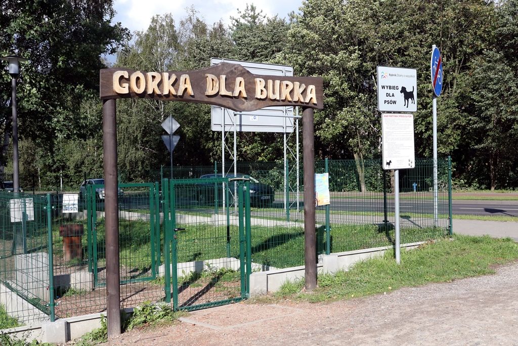 Jakie atrakcje dla czworonogów znajdziemy w Rybniku? Sprawdź!