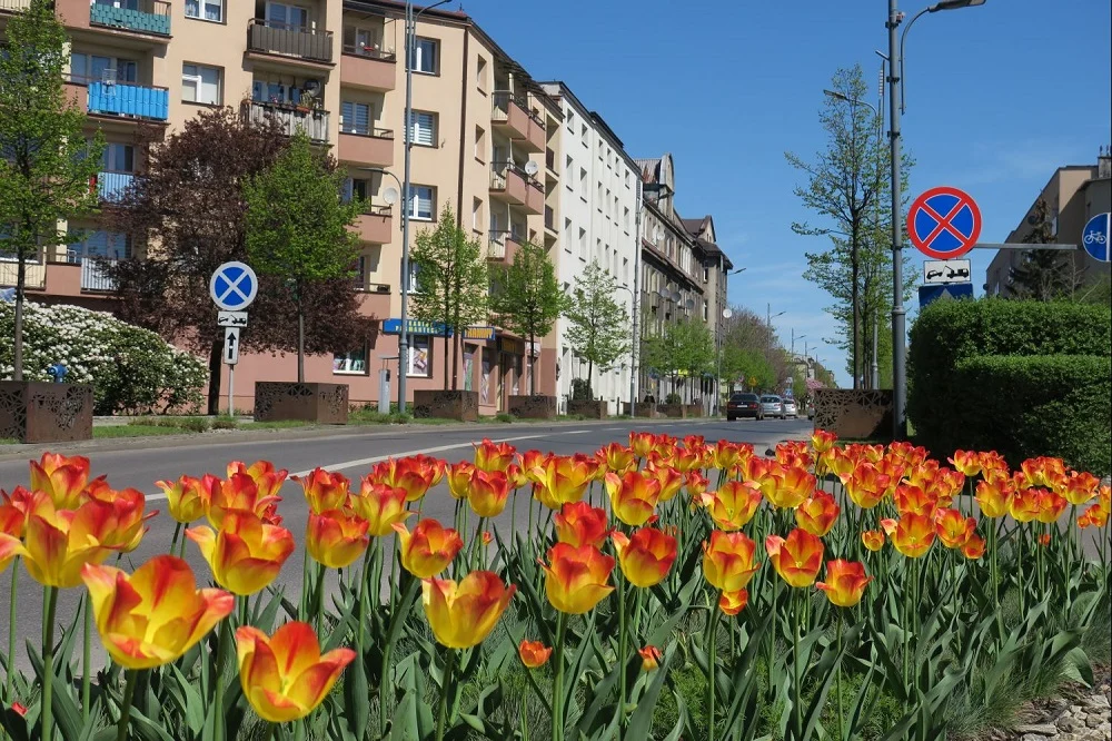 Budżet Obywatelski Miasta Rybnika na rok 2022