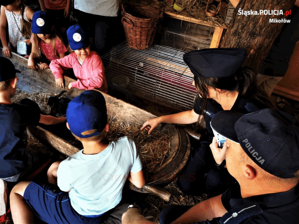 Dbaj o bezpieczeństwo i szanuj zwierzęta - warsztaty policyjne dla dzieci
