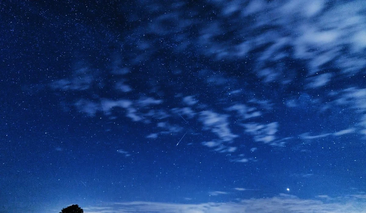 Noc Perseidów w Śląskim Ogrodzie Botanicznym. Magiczna noc w ŚOB już 7 sierpnia