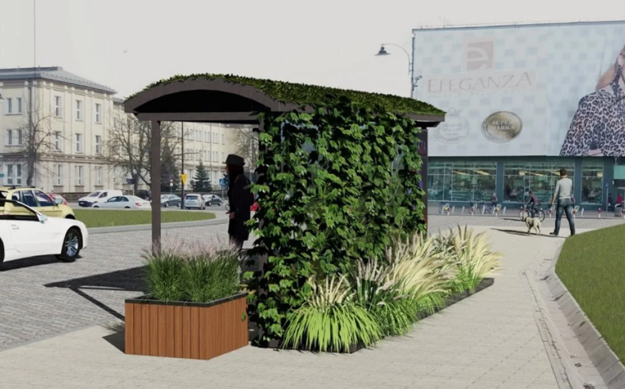 10 milionów złotych dla Mikołowa! Miasto zainwestuje w „zieloną infrastrukturę”