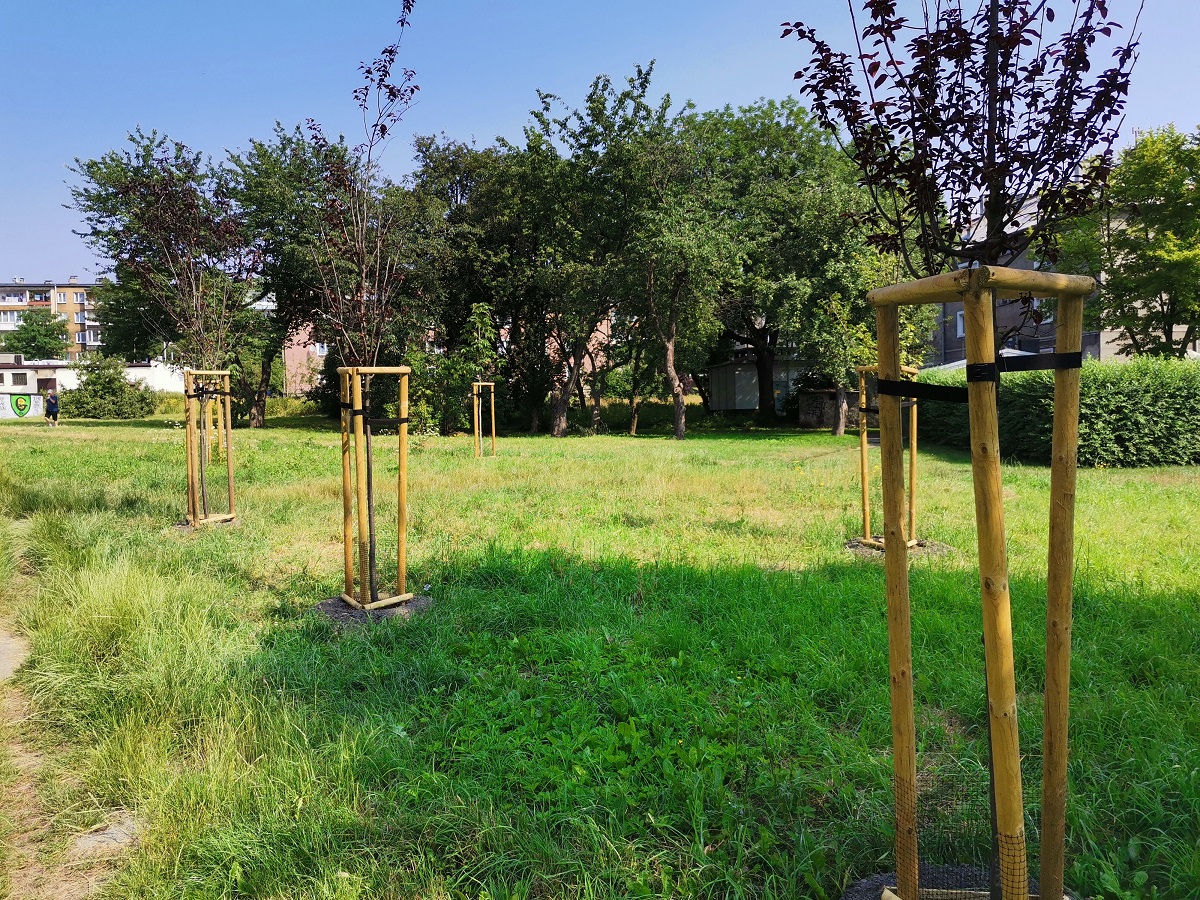 Katowice: Zielony Budżet w praktyce - kolejne inwestycje już gotowe