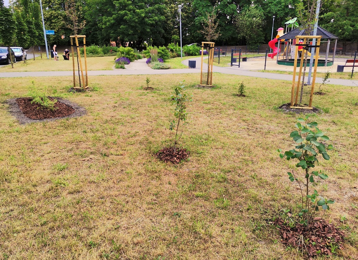 Katowice: Zielony Budżet w praktyce - kolejne inwestycje już gotowe