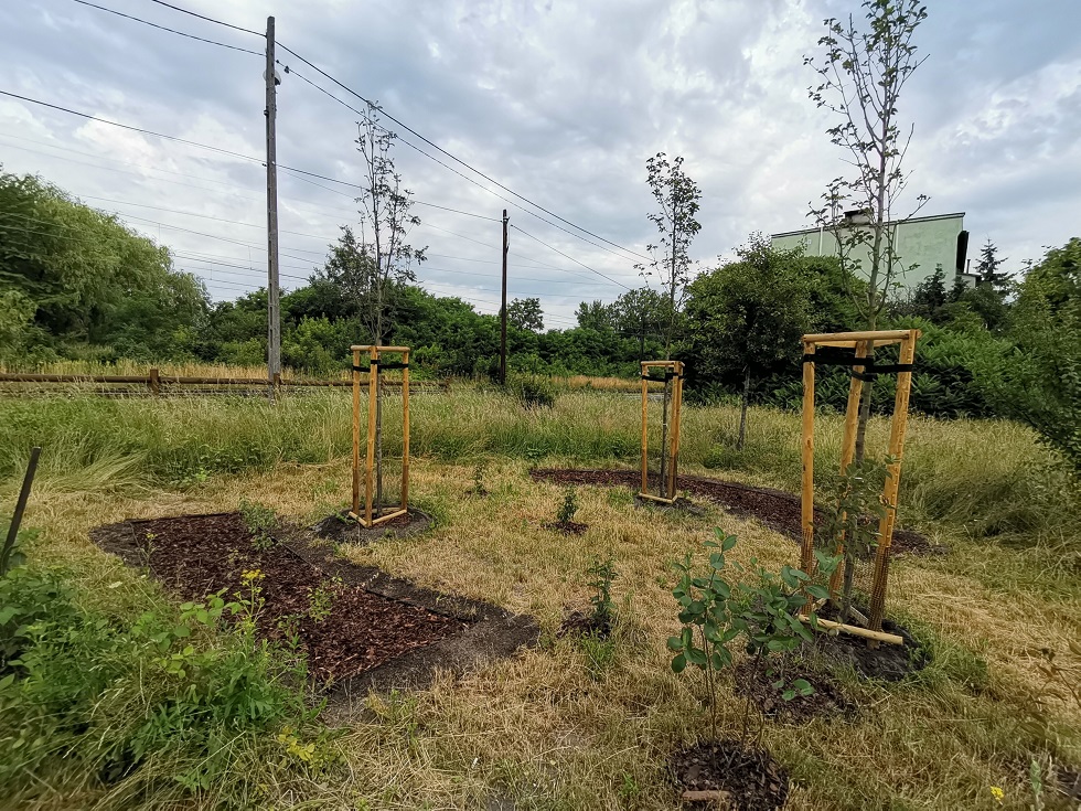 Katowice: Zielony Budżet w praktyce - kolejne inwestycje już gotowe
