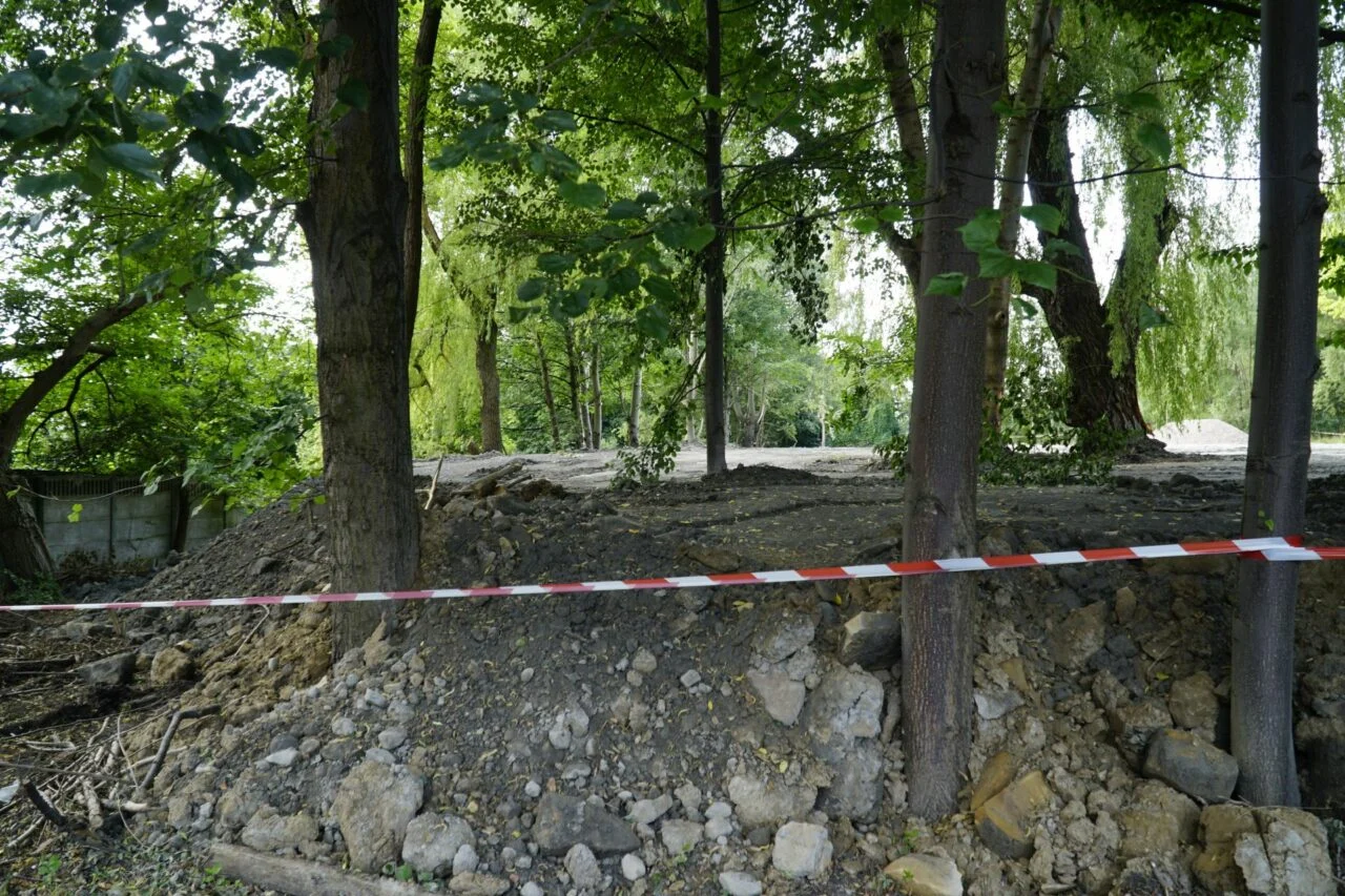 Dewastacja zieleni w Katowicach. Miasto zawiadamia prokuraturę
