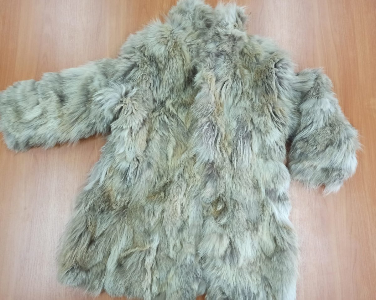 Katowiccy policjanci zabezpieczyli futro z wilka kanadyjskiego