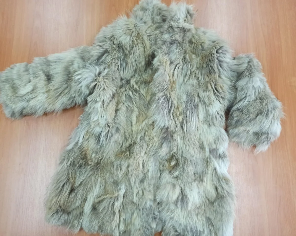 Katowiccy policjanci zabezpieczyli futro z wilka kanadyjskiego