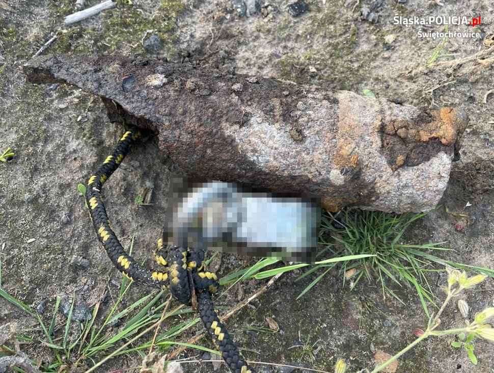W okolicy Góry Hugona znaleziono pocisk artyleryjski z okresu II Wojny Światowej