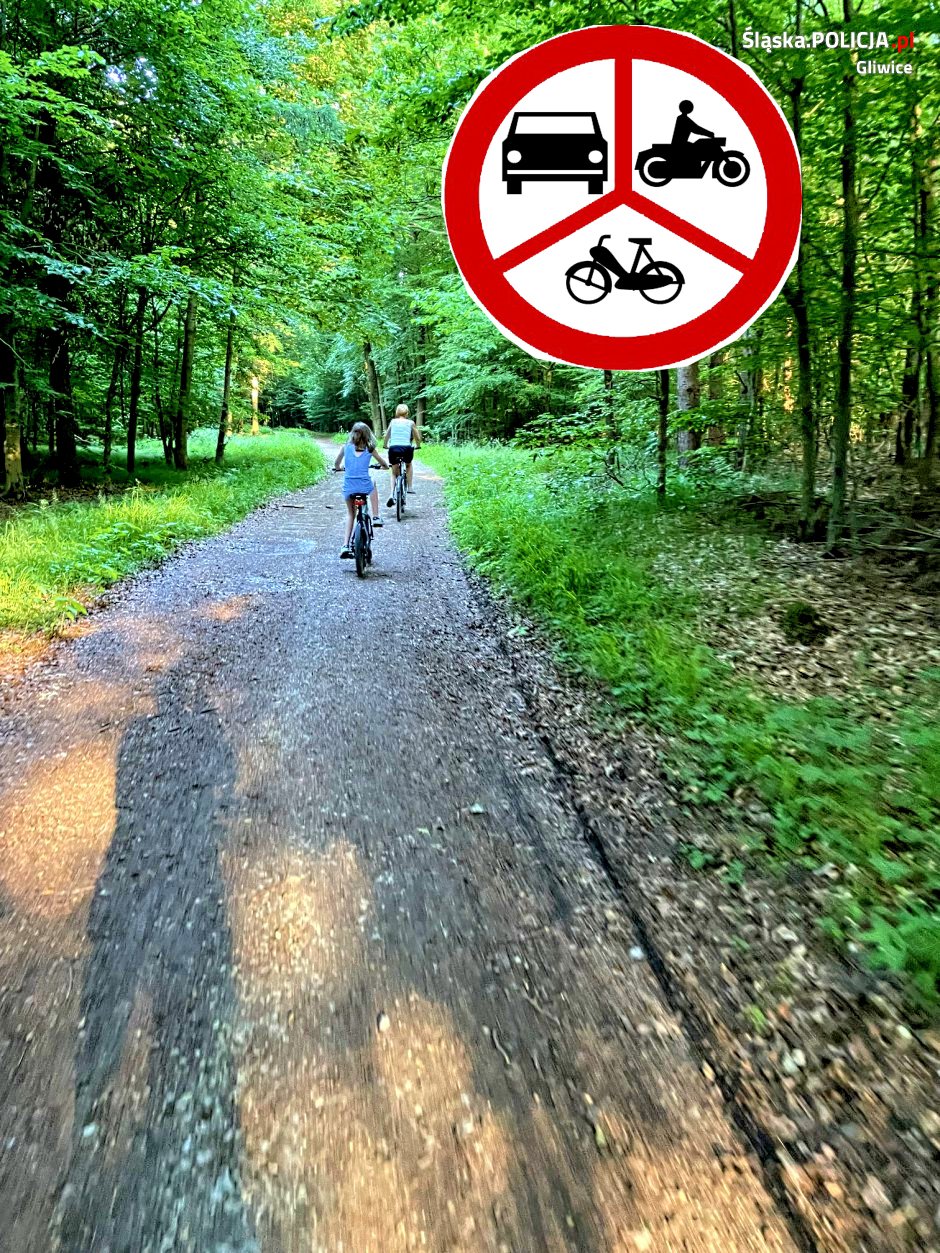 Silnikowcom do lasu wjeżdżać nie wolno!