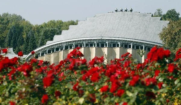 Zdobądź zawód w Parkowym Centrum Rozwoju pod Kapeluszem!