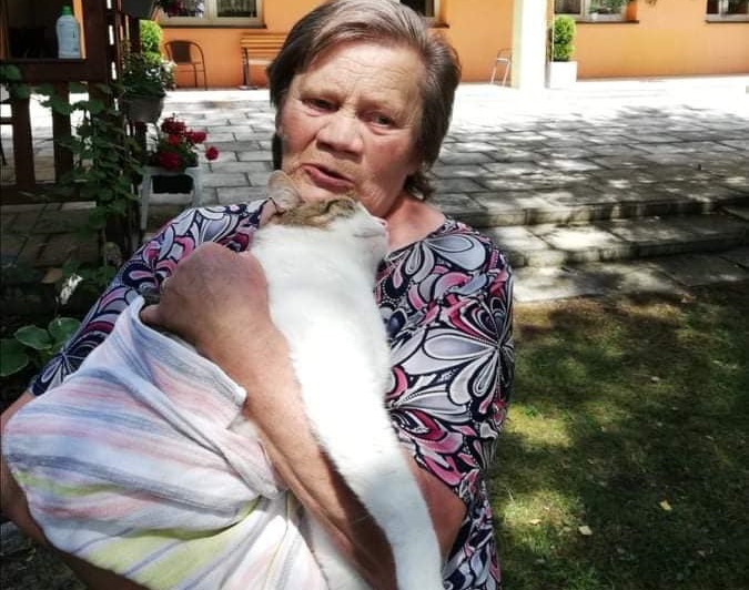 Postrzelono kota mieszkanki Żorskiego DPS-u. Policja szuka sprawcy!