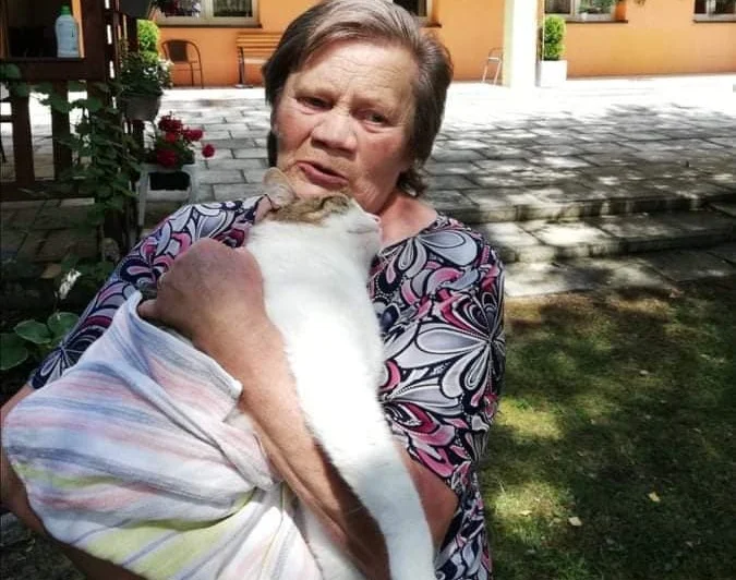 Postrzelono kota mieszkanki Żorskiego DPS-u. Policja szuka sprawcy!