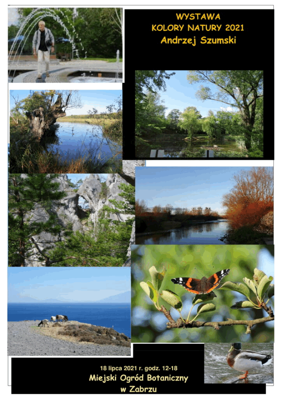 Wystawa fotografii w Miejskim Ogrodzie Botanicznym