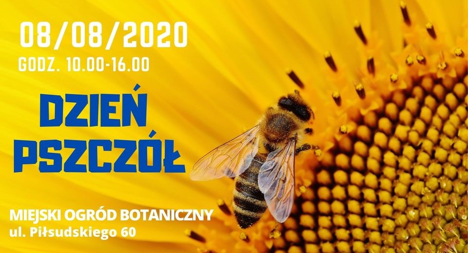 Wielki Dzień Pszczół w Miejskim Ogrodzie Botanicznym
