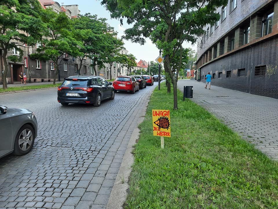 W Zabrzu pojawiły się tabliczki "Uwaga jeże"