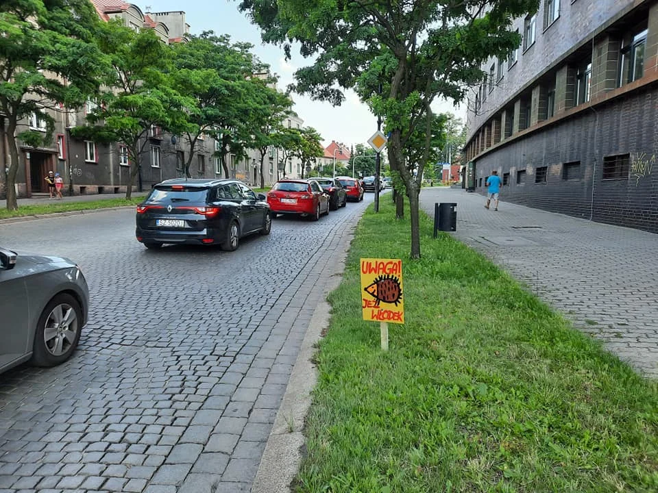 W Zabrzu pojawiły się tabliczki "Uwaga jeże"