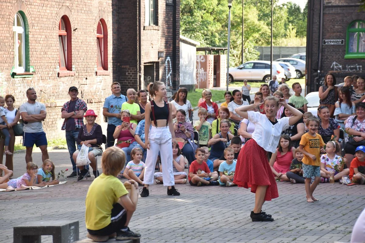 Widowisko plenerowe Różowisko, czyli śląskie kwiotki 4