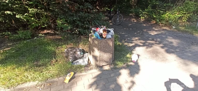 W Lasku Bolońskim postawiono pierwszy kosz na śmieci. Czy odpady znikną z okolicy?