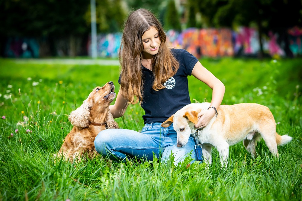 Pet Patrol Rybnik - pomocna dłoń w stronę zwierząt