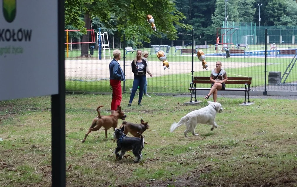 Nowy wybieg dla psów już otwarty. Miejsce zabaw dla psiaków powstało za basenem