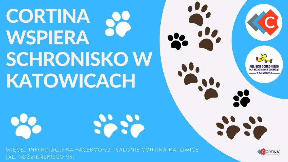Weź udział w akcji „Lajk” i wesprzyj katowickie schronisko!