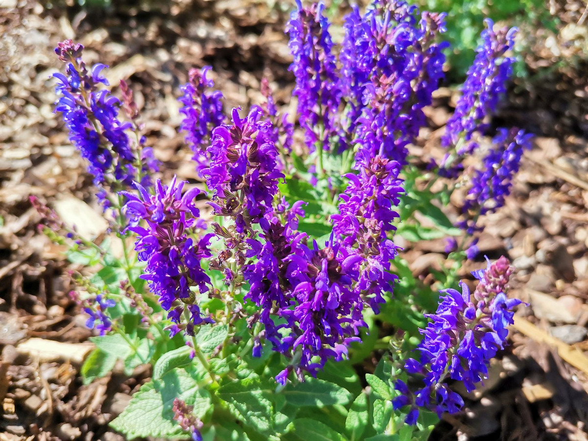 Kolejne miejsca w Katowicach zmienione przez Zielony Budżet