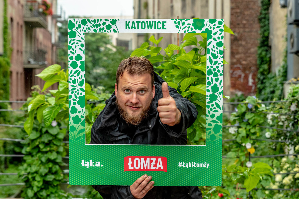 Łąka w centrum Katowic - powstaje niecodzienny projekt - Łąki Łomży