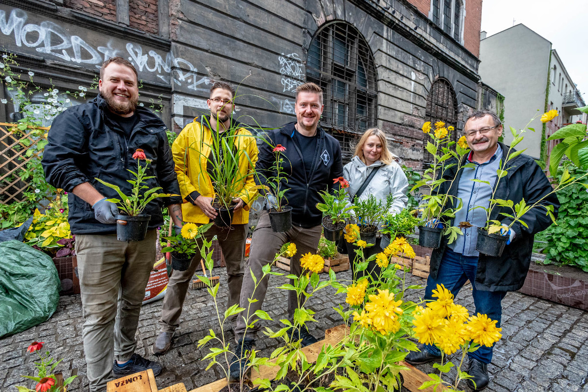 Łąka w centrum Katowic - powstaje niecodzienny projekt - Łąki Łomży
