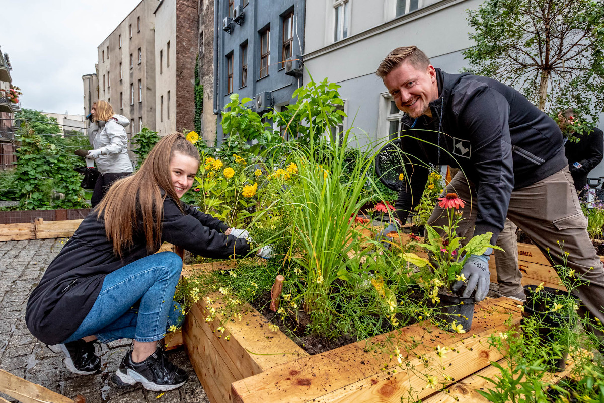 Łąka w centrum Katowic - powstaje niecodzienny projekt - Łąki Łomży