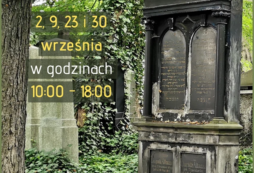Wolontariackie czwartki na cmentarzu żydowskim w Katowicach